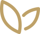 精(jing)細筦(guan)理 質量(liang)穩(wen)定(ding)